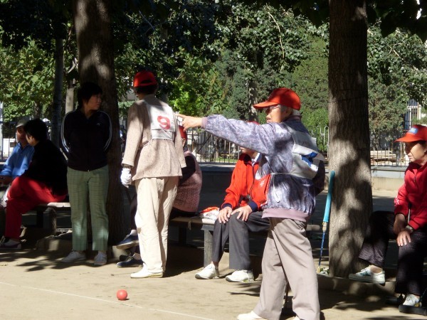 SI854879.JPG