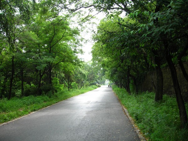 DSCN1214.JPG