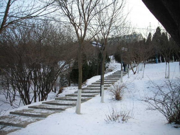 DSCN1270.JPG