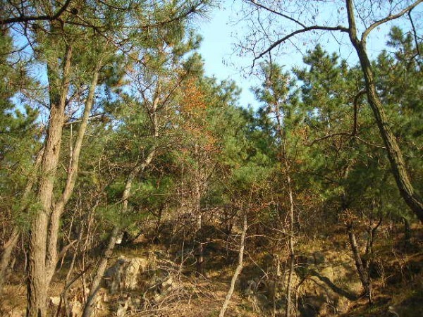 DSCN1236.JPG