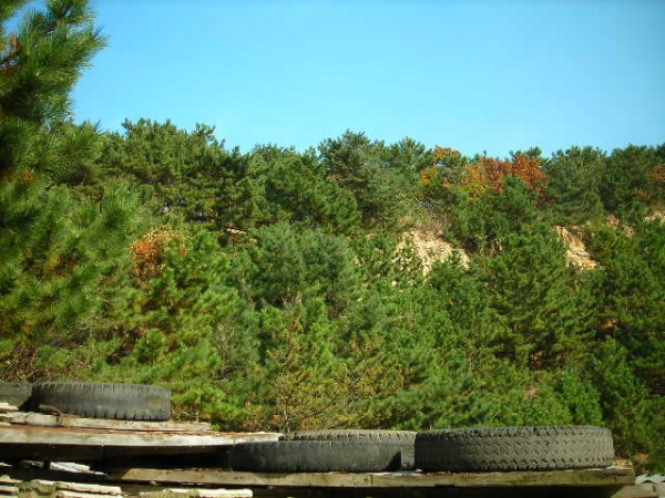 DSCN1235.JPG