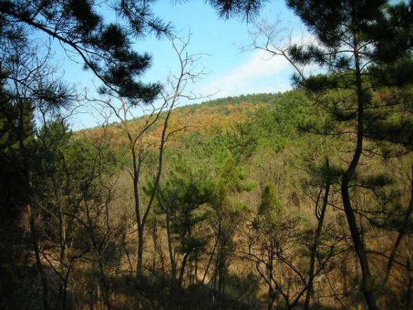 DSCN1237.JPG
