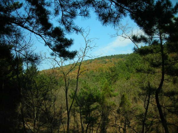 DSCN1238.JPG