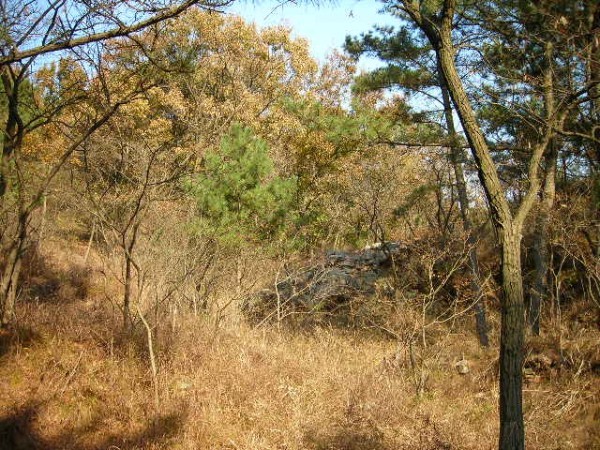 DSCN1240.JPG