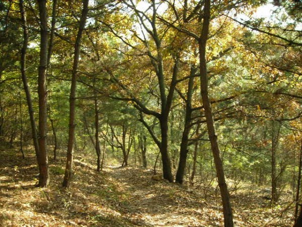 DSCN1244.JPG