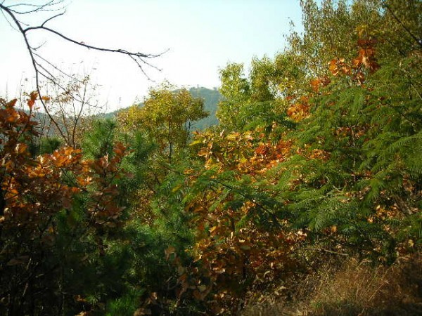 DSCN1246.JPG