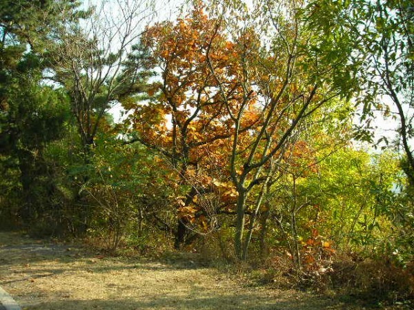 DSCN1247.JPG