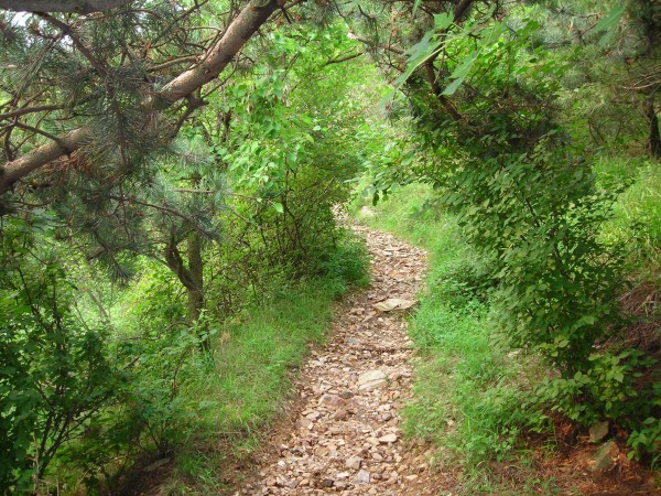 DSCN1193.JPG
