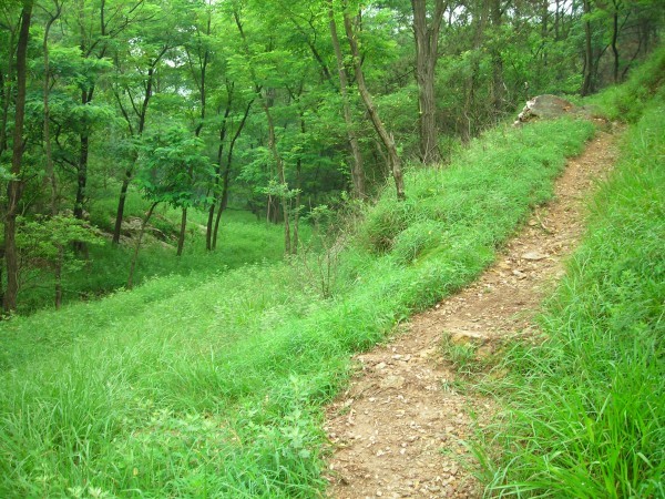 DSCN1207.JPG
