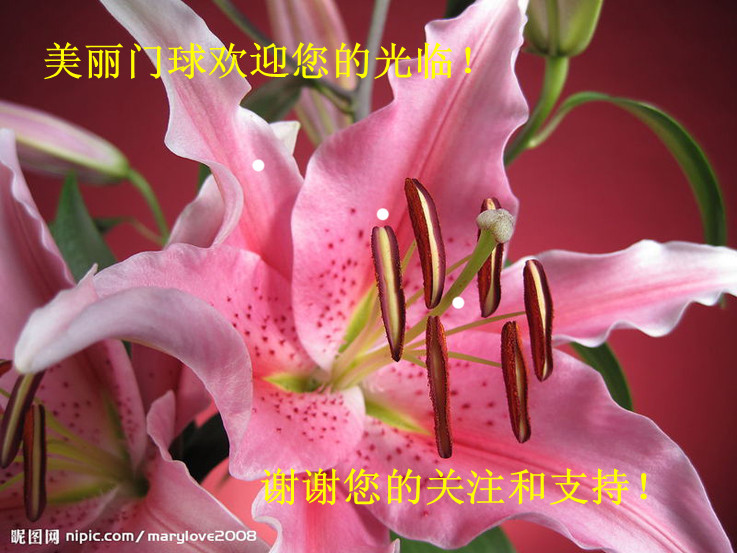 ��������ӭ���Ĺ���лл���Ĺ�ע��֧�֣�.jpg