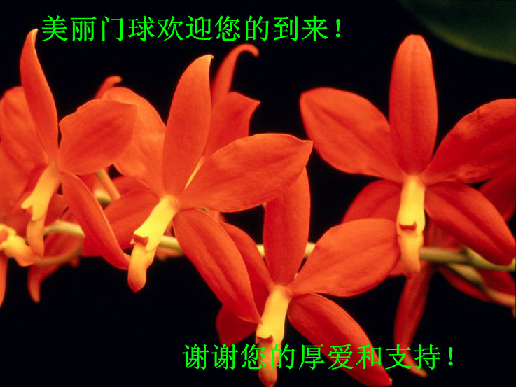 ��������ӭ���ĵ���лл����֧�֣�.jpg