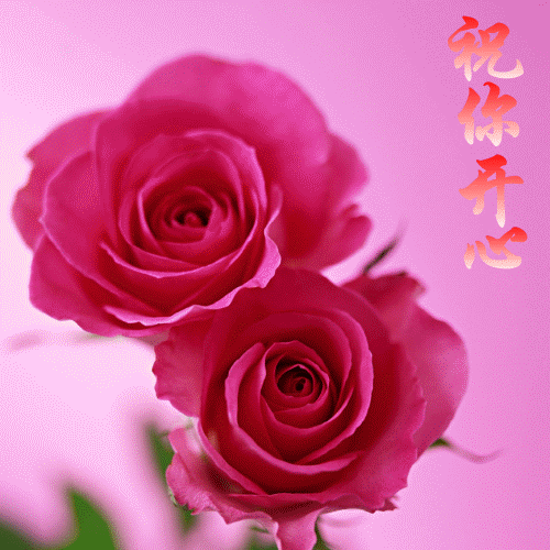 20110112_8d9ec7cb07387f4e53cf3plandvfojyb.gif