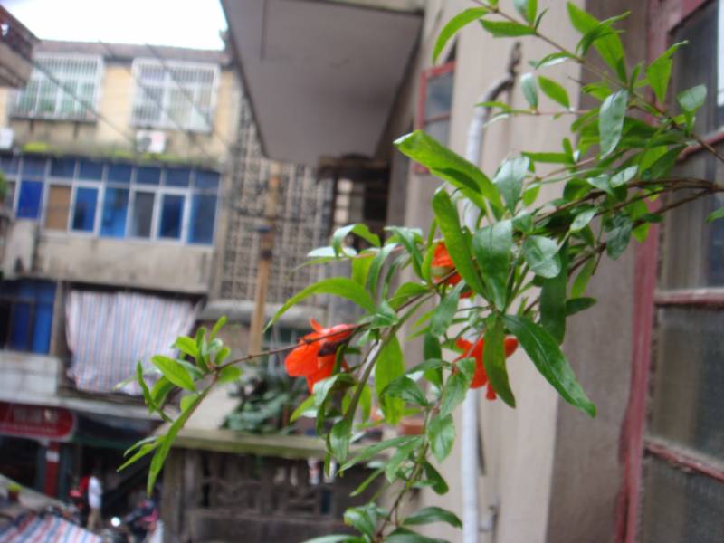 DSC08385.JPG