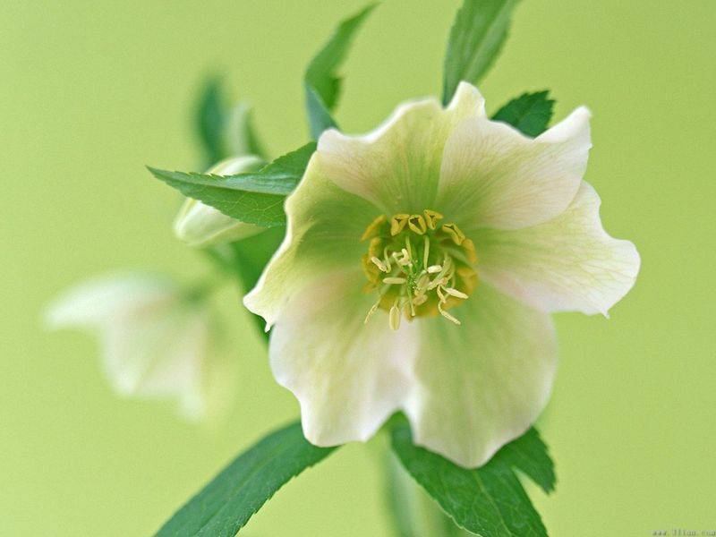 20100221_4b5d9634681f162a04f212DKIsWK8ViA.jpg
