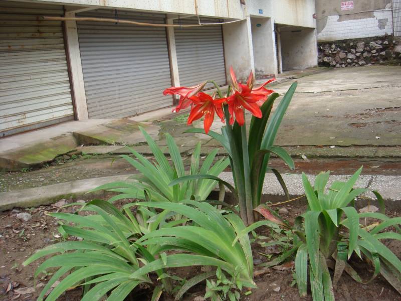DSC08395.JPG