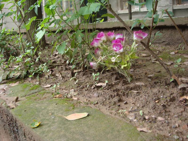 DSC08401.JPG