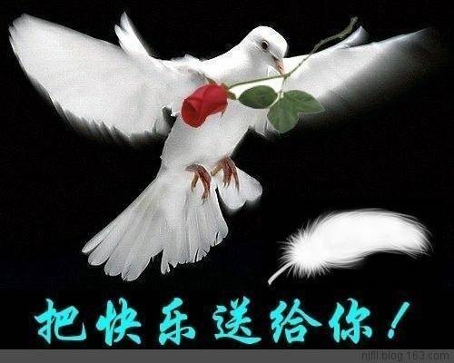 QQͼƬ20121217 0120.jpg