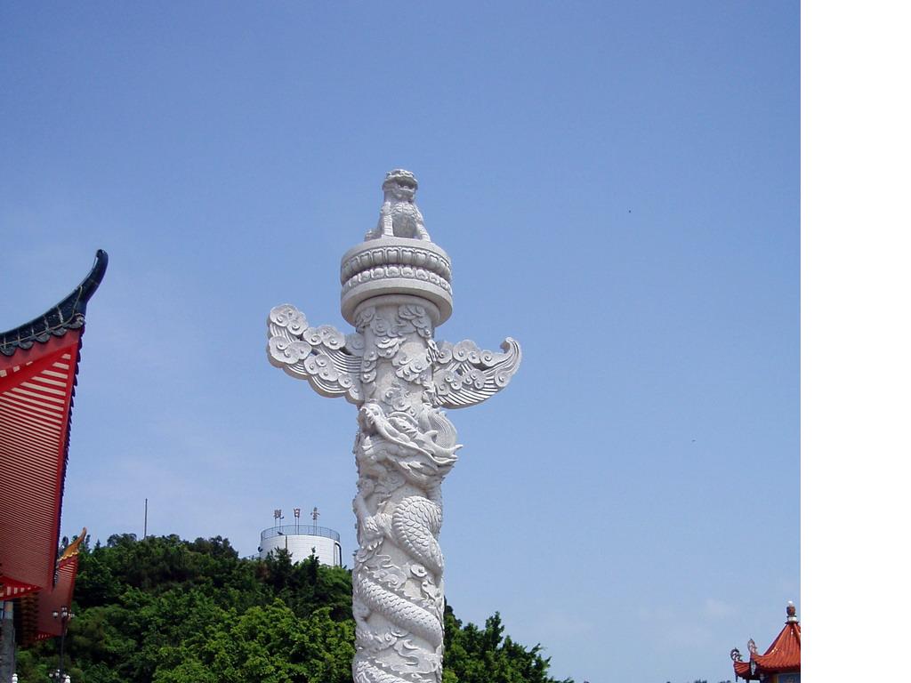 555.jpg