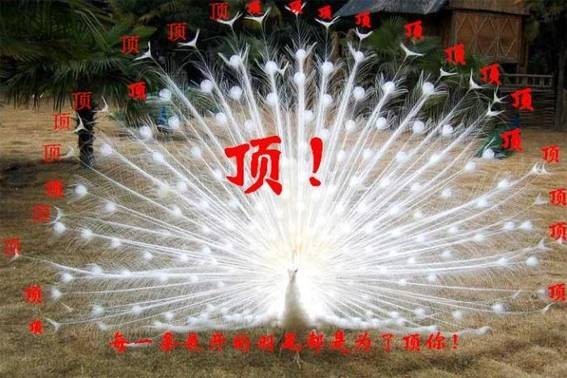 2013.01.02.jpg