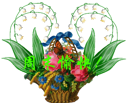 125912yjpyt0ims912yyii.gif