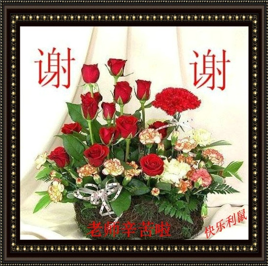 ���� ��������(1).jpg