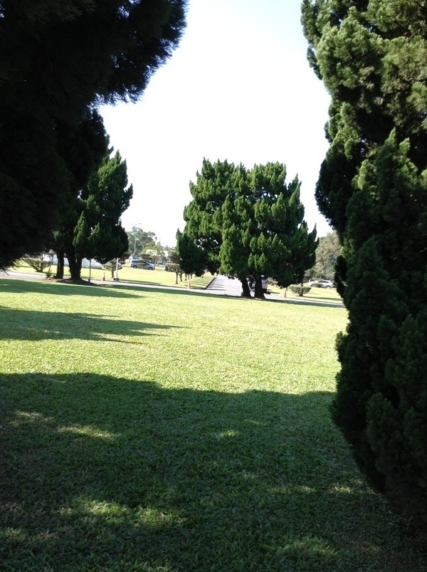 ̨�����ķ羰ͼƬ1 214.jpg