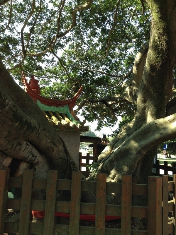 ̨�����ķ羰ͼƬ1 216.jpg