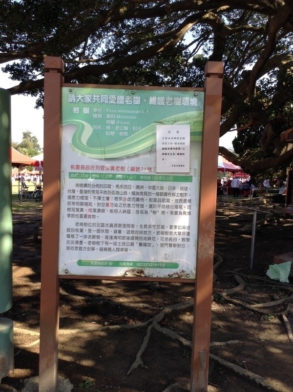 ̨�����ķ羰ͼƬ1 219.jpg