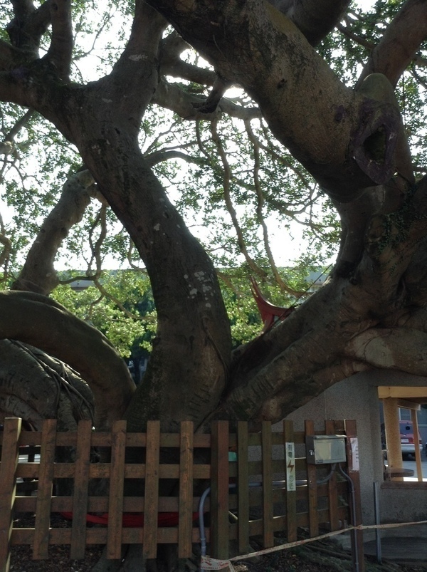 ̨�����ķ羰ͼƬ1 221.jpg