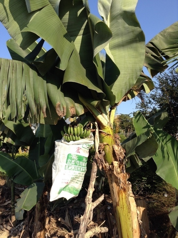 ̨�����ķ羰ͼƬ1 258.jpg