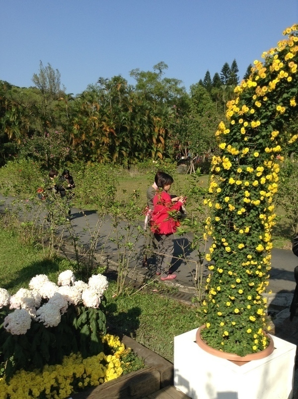 ̨�����ķ羰ͼƬ1 071.jpg