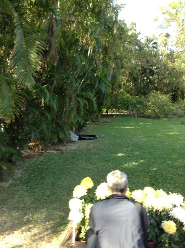 ̨�����ķ羰ͼƬ1 074.jpg