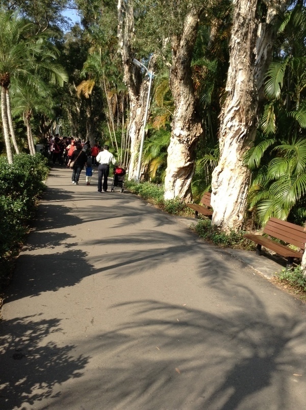 ̨�����ķ羰ͼƬ1 077.jpg