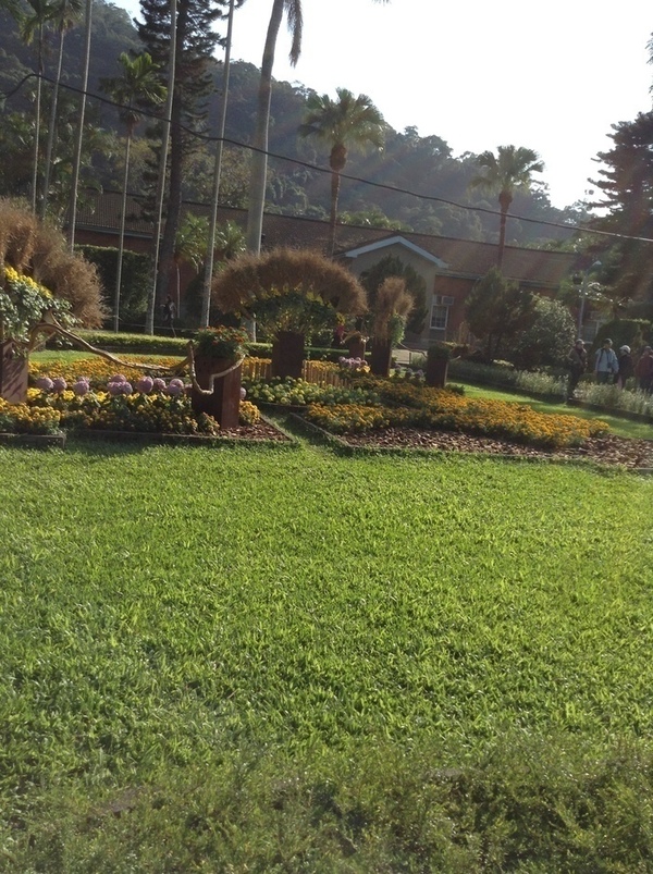 ̨�����ķ羰ͼƬ1 078.jpg