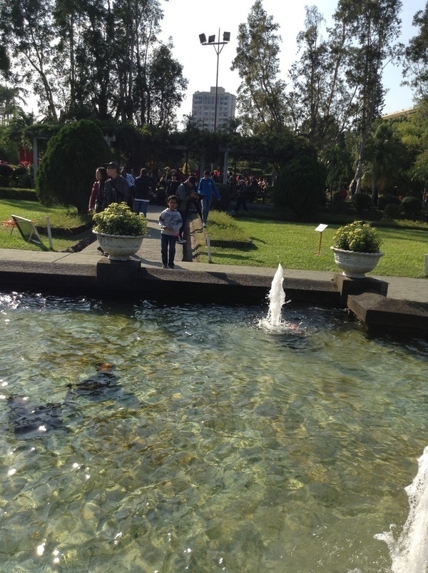 ̨�����ķ羰ͼƬ1 081.jpg