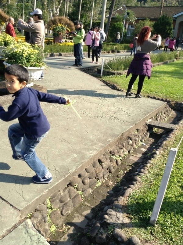 ̨�����ķ羰ͼƬ1 084.jpg