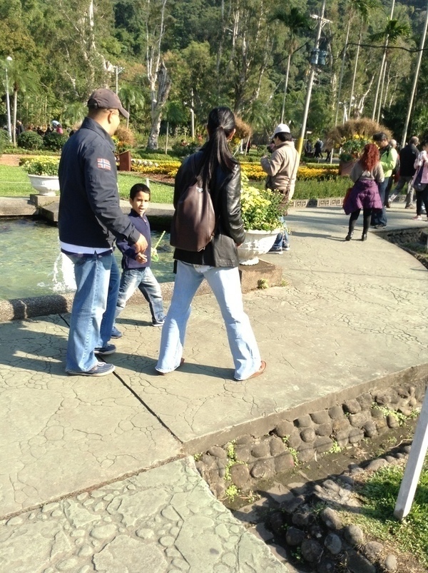 ̨�����ķ羰ͼƬ1 085.jpg