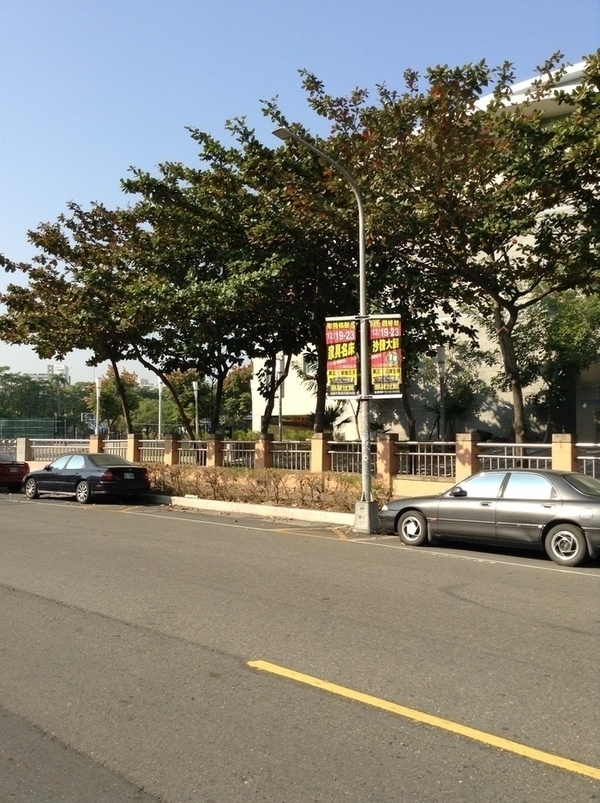 ̨�����ķ羰ͼƬ1 383.jpg