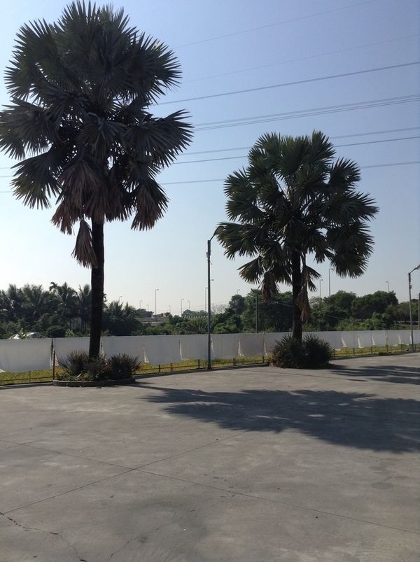 ̨�����ķ羰ͼƬ1 298.jpg