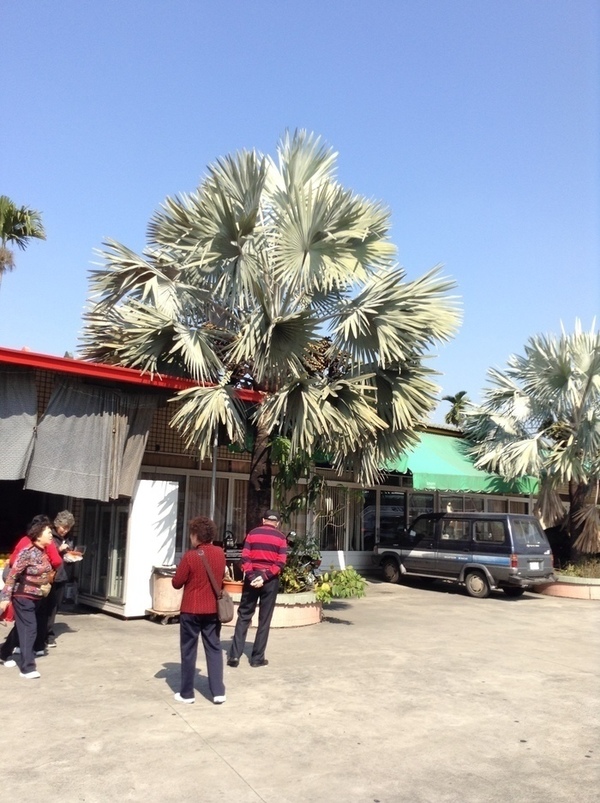 ̨�����ķ羰ͼƬ1 299.jpg