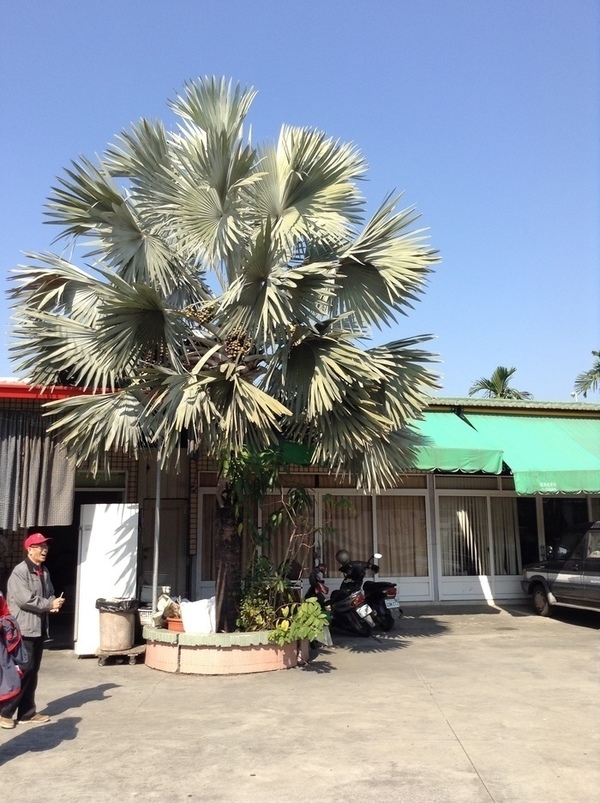 ̨�����ķ羰ͼƬ1 300.jpg