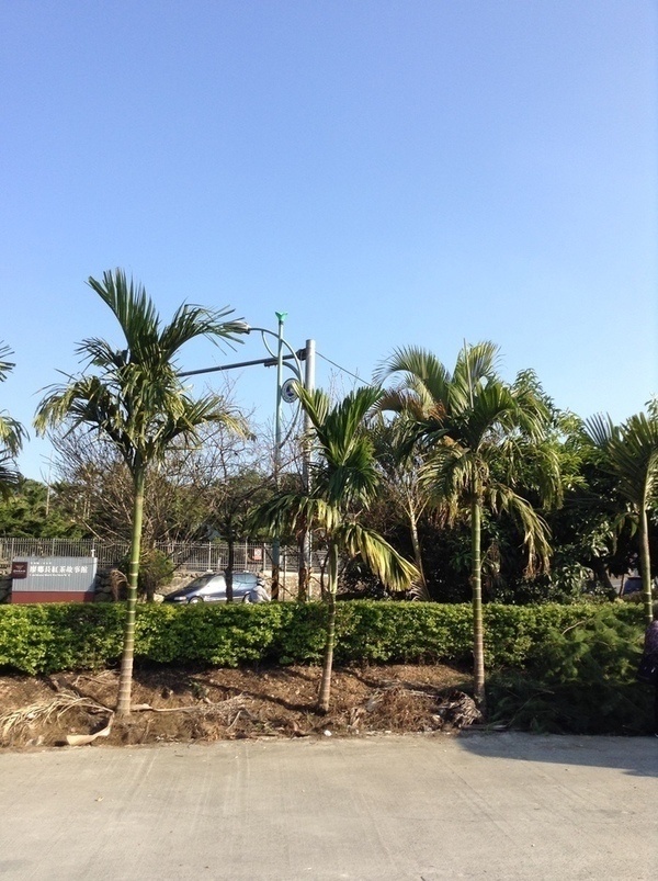 ̨�����ķ羰ͼƬ1 269.jpg