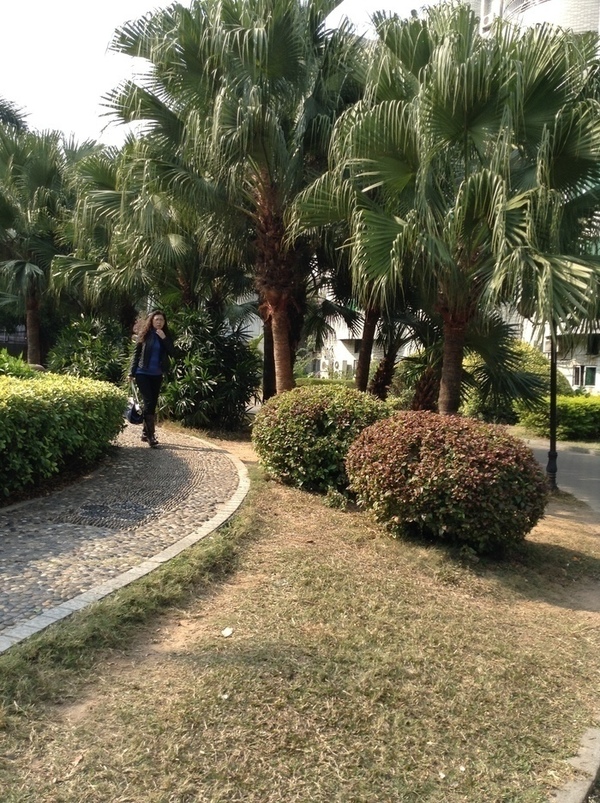 ̨�����ķ羰ͼƬ1 696.jpg