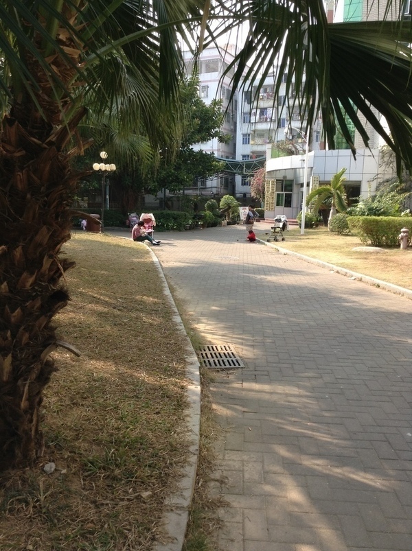 ̨�����ķ羰ͼƬ1 697.jpg