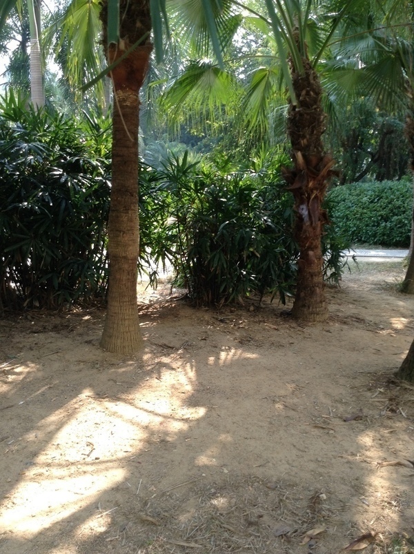 ̨�����ķ羰ͼƬ1 698.jpg