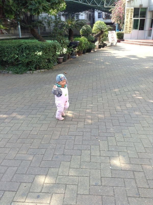 ̨�����ķ羰ͼƬ1 699.jpg