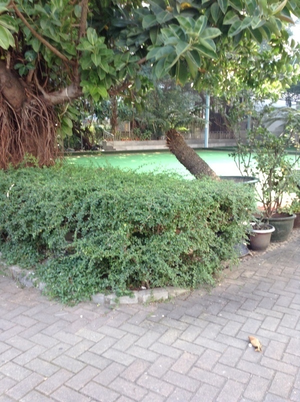 ̨�����ķ羰ͼƬ1 700.jpg