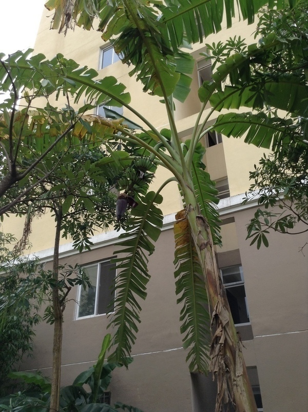 ̨�����ķ羰ͼƬ1 826.jpg