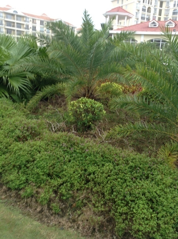 ̨�����ķ羰ͼƬ1 854.jpg