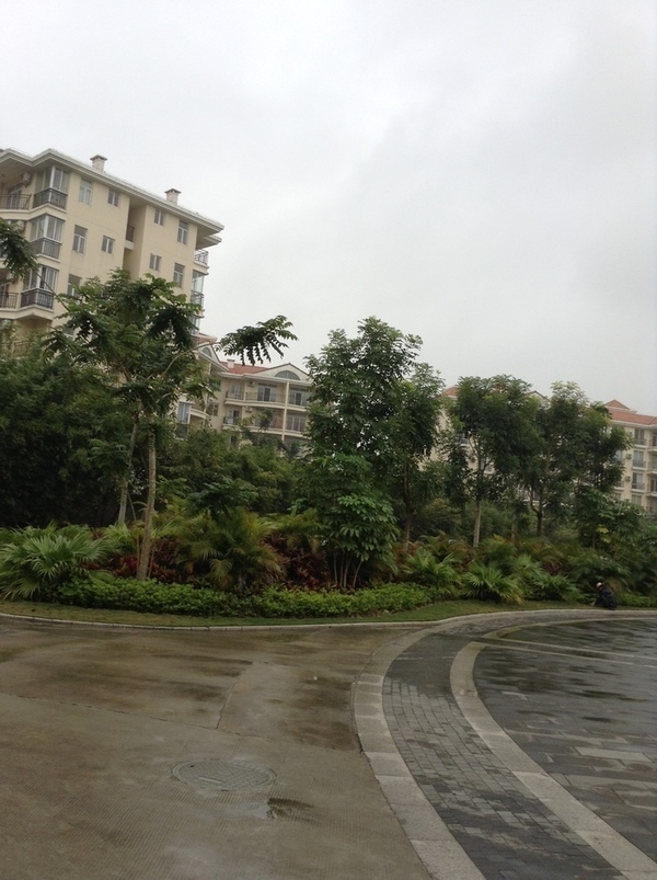 ̨�����ķ羰ͼƬ1 858.jpg